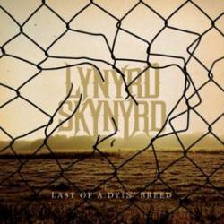 Lynyrd Skynyrd : Last of a Dyin' Breed (Single)